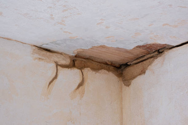 Best Water damage contractors near me  in River Hills, WI