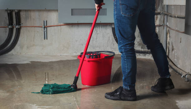 Best Flood restoration services  in River Hills, WI