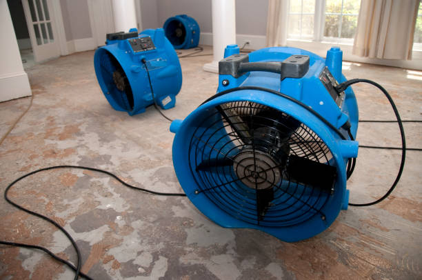 Best Professional water damage repair  in River Hills, WI