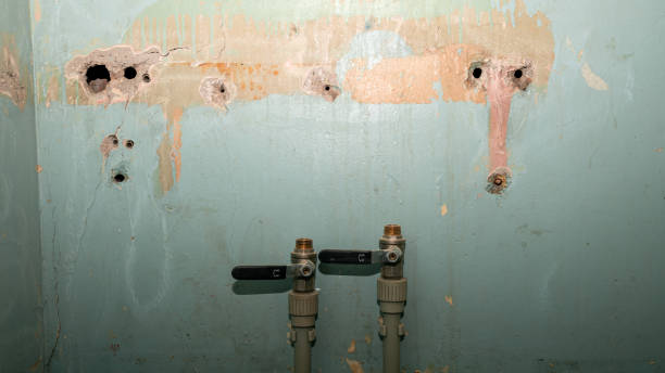 Best Emergency water extraction  in River Hills, WI