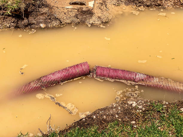 Best Residential water damage restoration  in River Hills, WI